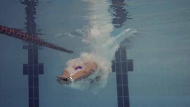 Video Reference: Swimming, Organism, Recreation, Underwater