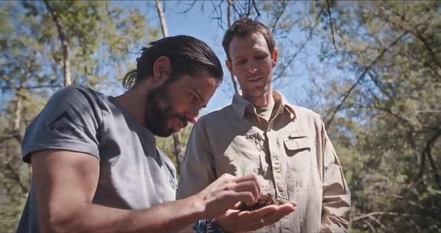 Video Reference: Tree, Fun, Adaptation, Photography, Glasses