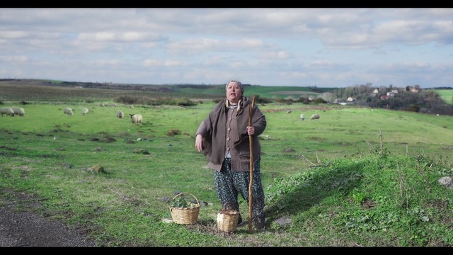 Video Reference: Pasture, Grassland, Plain, Grass, Rural area, Steppe, Prairie, Soil, Farm, Landscape