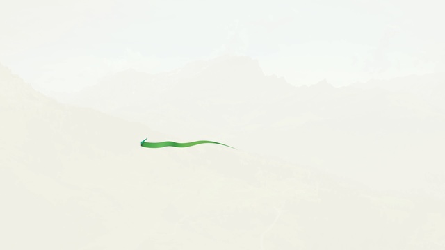 Video Reference: Green, White, Line, Logo, Illustration, Plant, Graphics, Drawing, Kite, Outdoor, Flying, Standing, Beach, Water, Man, People, Young, Mountain, Field, Boy, Group, Colorful, Woman, Large, Surfing, Sand, Walking, Cloudy, Riding, Air, Ocean, Playing, Fog, Day