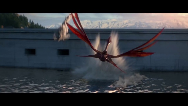 Video Reference: Sky, Water, Wing, Wave, Bird, Water bird, Seabird