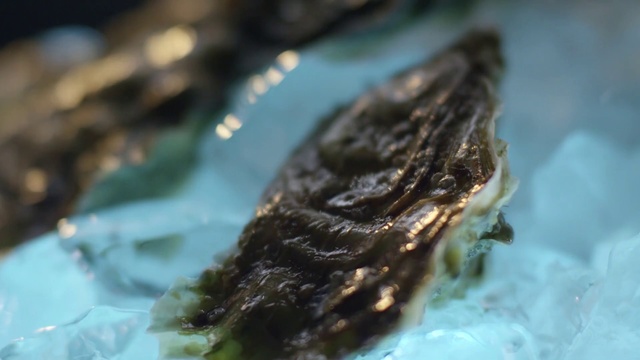 Video Reference: Food, Dish, Cuisine, Comfort food, Cake, Piece, Chocolate, Indoor, Plate, Slice, Sitting, Fork, Dessert, Table, Eaten, Cream, Close, Topped, Bite, White, Sauce, Spoon, Blue, Desert, Birthday, Half, Holding, Cheese, Water, Plant, Closeup