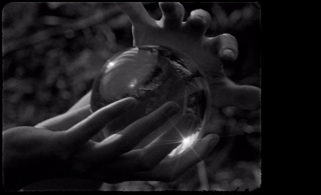 Video Reference: Monochrome photography, Black, Black-and-white, Still life photography, Monochrome, Arm, Hand, Photography, Human, Close-up