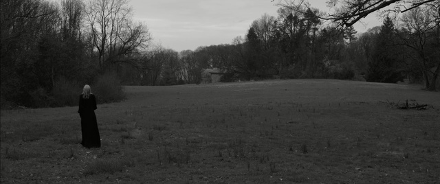 Video Reference: Photograph, Black, Nature, White, Monochrome photography, Asphalt, Tree, Black-and-white, Atmospheric phenomenon, Morning