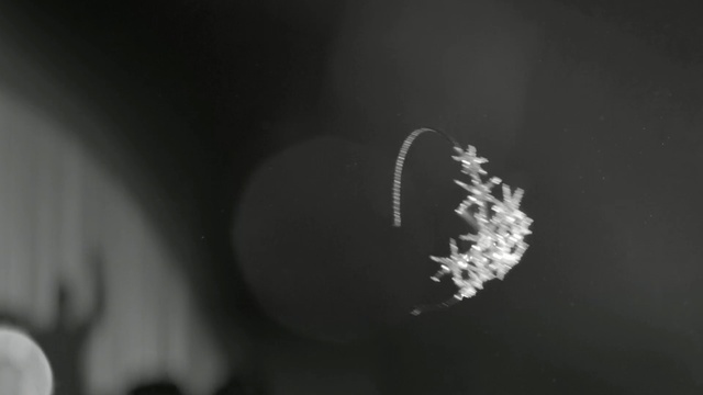 Video Reference: black, photograph, black and white, monochrome photography, photography, macro photography, still life photography, close up, monochrome, darkness