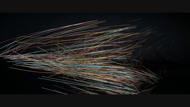 Video Reference: Grass, Plant, Stock photography, Darkness, Whiskers, Tail