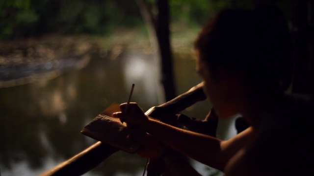 Video Reference: Photography, Forest