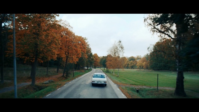 Video Reference: Leaf, Road, Tree, Nature, Photograph, Sky, Lane, Mode of transport, Green, Morning