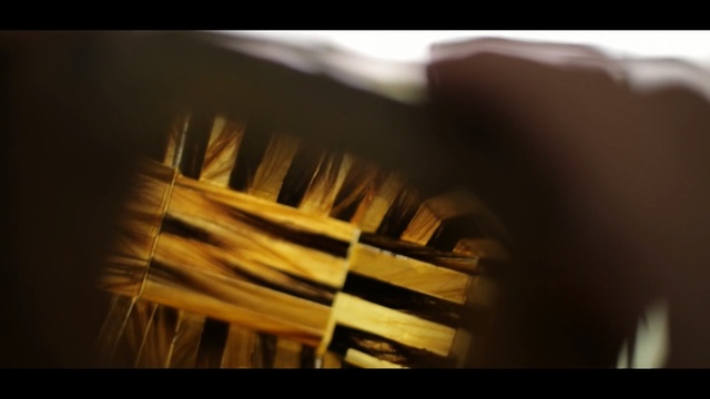 Video Reference: Close-up, Macro photography, Photography, Wood, Still life photography, Eyelash