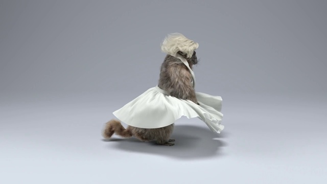 Video Reference: Figurine, Art, Sculpture, Animal figure, Wing, Origami, Bird, Miniature, Paper