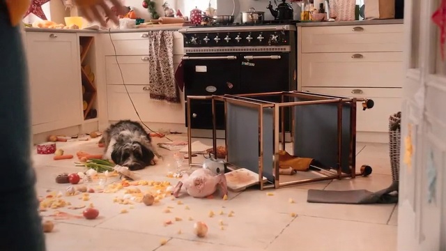 Video Reference: Room, Non-Sporting Group, Furniture