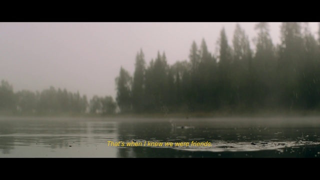 Video Reference: Nature, Mist, Fog, Atmospheric phenomenon, Water, Morning, Sky, Atmosphere, Haze, Tree