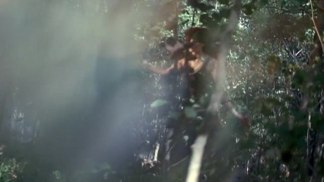 Video Reference: nature, water, tree, forest, sunlight, jungle, geological phenomenon, smoke, rainforest, branch