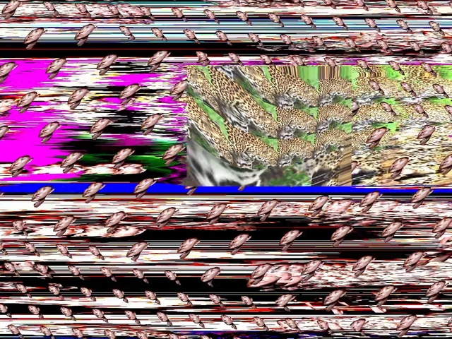 Video Reference: Architecture