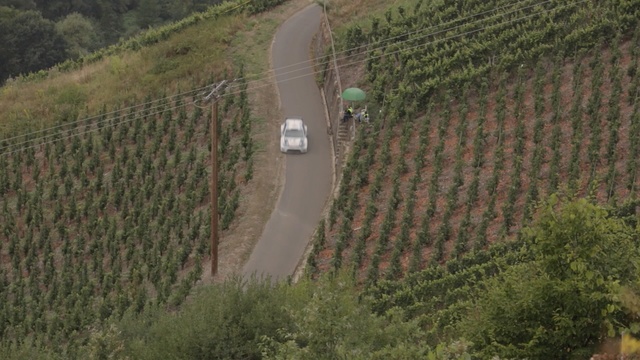 Video Reference: Aerial photography, Land lot, Field, Rural area, Grass, Landscape, Grass, Photography, Plantation, Thoroughfare