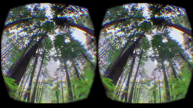 Video Reference: Tree, Glass, Photography, Tints and shades, Lampshade, Plant, Lighting accessory, Window