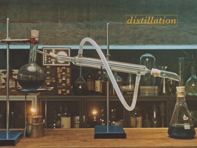 Video Reference: , Person