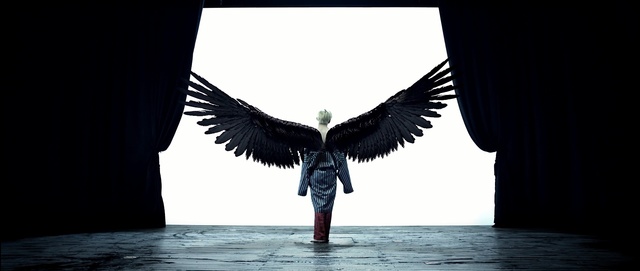 Video Reference: wing, feather, black and white, beak, water, Person