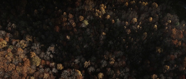 Video Reference: Black, Brown, Sky, Soil, Rock