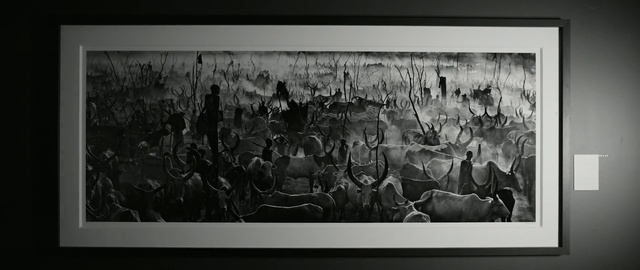 Video Reference: Black-and-white, Monochrome photography, Art, Crowd, Monochrome, Photography, Font, Stock photography, Visual arts, Modern art