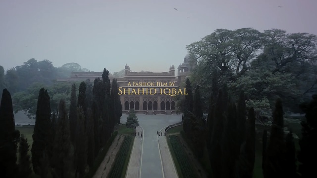 Video Reference: landmark, sky, tree, tourist attraction, morning, atmosphere, mist, temple, historic site, plant, Person