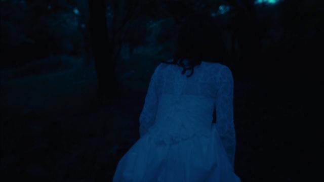 Video Reference: Blue, Black, Darkness, Light, Sky, Natural environment, Night, Electric blue, Atmosphere, Tree