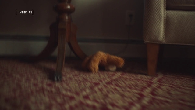 Video Reference: Floor, Photograph, Flooring, Room, Light, Leg, Hardwood, Brown, Snapshot, Wood