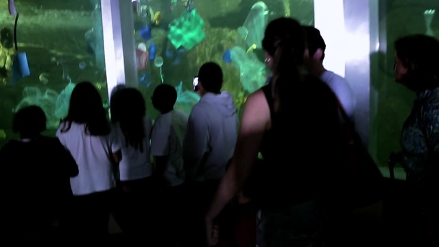 Video Reference: Light, Fun, Snapshot, Crowd, Disco, Nightclub, Event, Music, Photography, Music venue