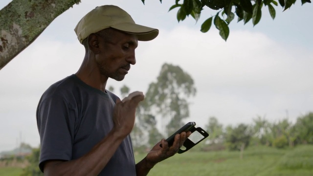 Video Reference: Tree, Adaptation, Photography, Recreation