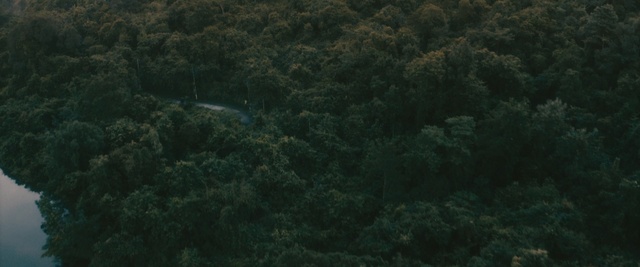 Video Reference: Green, Vegetation, Nature, Forest, Natural environment, Biome, Aerial photography, Rainforest, Jungle, Water