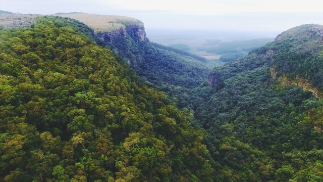 Video Reference: Mountainous landforms, Natural landscape, Vegetation, Hill station, Nature reserve, Nature, Highland, Mountain, Forest, Tropical and subtropical coniferous forests