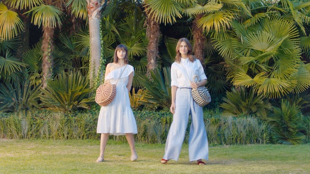 Video Reference: Vacation, Botany, Tree, Fun, Palm tree, Event, Grass, Arecales, Lawn, Plant, Person