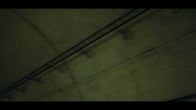 Video Reference: Green, Black, Line, Light, Sky, Wood, Leaf, Atmosphere, Darkness, Symmetry