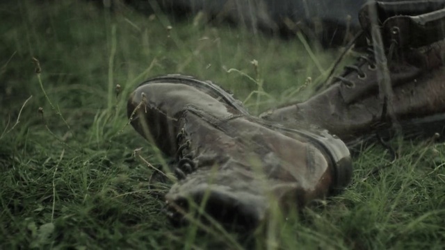 Video Reference: Grass, Wildlife, Footwear, Plant