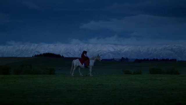 Video Reference: sky, nature, grassland, ecosystem, cloud, atmosphere, pasture, grass, steppe, plain