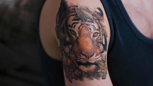 Video Reference: Tiger, Bengal tiger, Tattoo, Shoulder, Felidae, Arm, Wildlife, Joint, Big cats, Carnivore