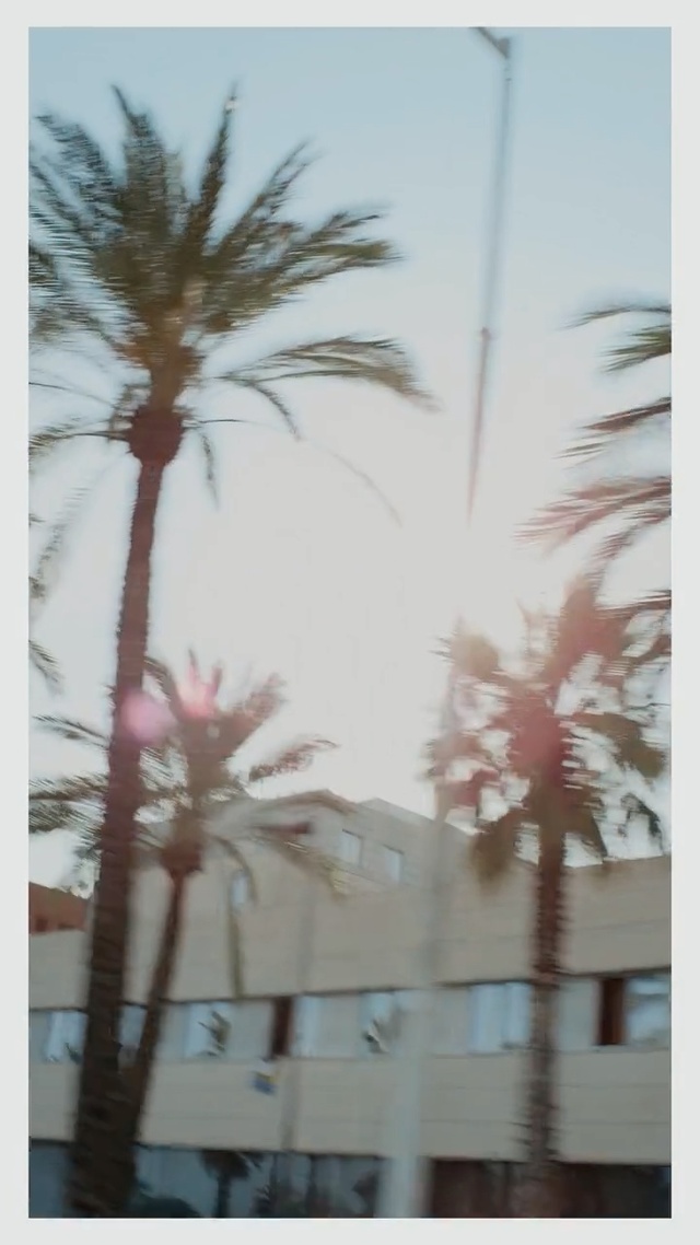 Video Reference: Tree, Palm tree, Atmospheric phenomenon, Arecales, Plant, Woody plant, Sky, Date palm, Winter, Branch, Person