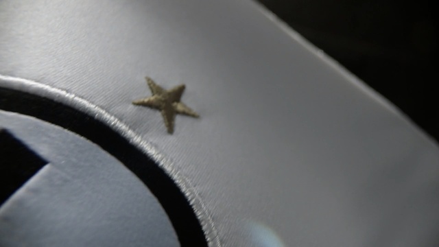 Video Reference: Starfish, Macro photography, Invertebrate, Echinoderm, Insect