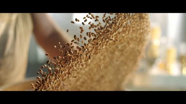 Video Reference: Hair, Close-up, Water, Macro photography, Photography, Plant