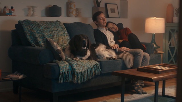 Video Reference: Couch, Furniture, Room, Living room, Comfort, Sofa bed, Loveseat, Interior design, Futon, Home, Person