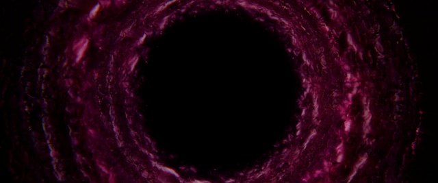 Video Reference: Purple, Violet, Red, Pink, Sky, Maroon, Circle, Close-up, Magenta, Space