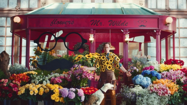 Video Reference: Floristry, Flower, Floral design, Flower Arranging, Plant, Building, Marketplace, Selling, Retail, Market