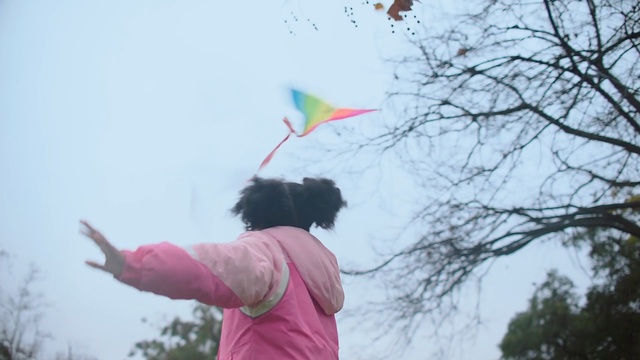 Video Reference: Kite, Sport kite, Sky, Fun, Kite sports, Child, Wind, Play