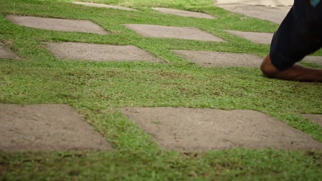 Video Reference: Lawn, Grass, Grass family, Walkway, Sidewalk, Plant, Yard, Landscaping, Groundcover, Path