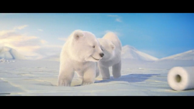 Video Reference: Polar bear, Mammal, Vertebrate, Bear, Nature, Arctic, Polar ice cap, Natural environment, Atmospheric phenomenon, Arctic ocean