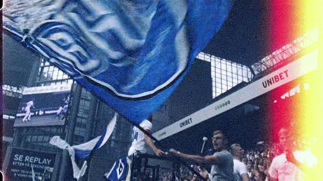 Video Reference: Fan, Art, Person