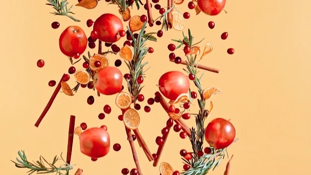 Video Reference: Fruit, Plant, Rose hip, Tree, Branch, Illustration, Currant, Hawthorn, Food, Lingonberry