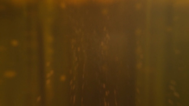 Video Reference: Wood, Brown, Wood stain, Caramel color, Hardwood, Amber, Pattern, Orange, Yellow, Varnish