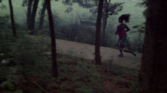 Video Reference: Forest, Nature, Woodland, Tree, Natural environment, Atmospheric phenomenon, Old-growth forest, Green, Wilderness, Biome
