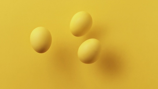 Video Reference: Yellow, Close-up, Macro photography, Egg